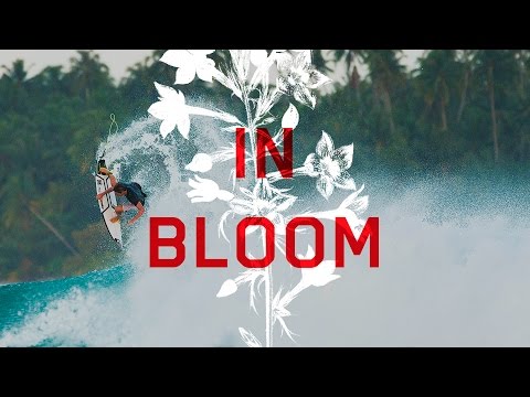 In Bloom: Leo Fioravanti Part 2