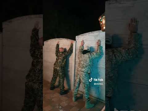 Dani Mocanu - Alex velea dansul care a rupt tik tok-ul #danimocanu #alexvelea