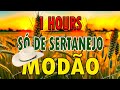 SÓ MODÃO DAS ANTIGAS AS MELHORES SERTANEJO RAIZ MODA DE VIOLA
