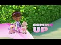 Disney Jr Doc McStuffins Coming Up Screen Bug 2024 Rebrand