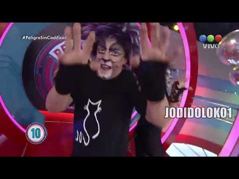 Los Re Gatos | PSC 10 años | Peligro Brodway