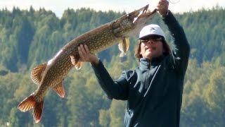 preview picture of video 'Grosser Hecht (huge Pike) 118cm 19 Pfund Hugn Schweden'