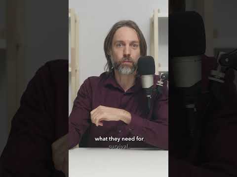 Die eigentliche Aufgabe eines Produzenten (Sie ist wichtiger als Geld)