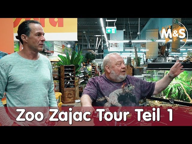 הגיית וידאו של Zajac בשנת אנגלית