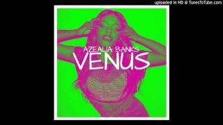 Paul Oakenfold ft Azealia Banks - Venus