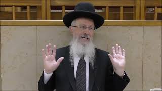 הגאון הרב אברהם יוסף שליט"א דיני והלכות חמץ שהתערב במאכל בפסח ודין חוזר וניעור אדר תשפ"ו (רבנים שונים) - התמונה מוצגת ישירות מתוך אתר האינטרנט יוטיוב. זכויות היוצרים בתמונה שייכות ליוצרה. קישור קרדיט למקור התוכן נמצא בתוך דף הסרטון