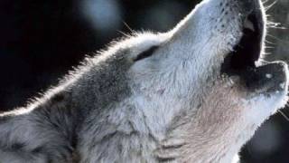 Dances with wolves - The John Dunbar Theme