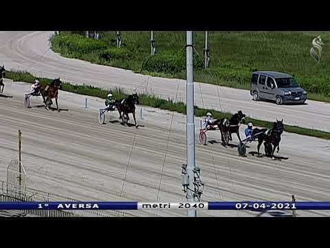 Aversa trotto 7 Aprile 2021 - 1° Corsa