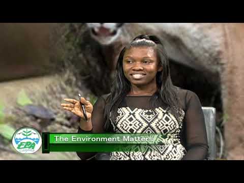 The Environment Matters August 2019