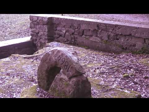 25.02.2018  in der kamer