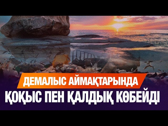 Демалыс аймақтарында қоқыс пен қалдық көбейді