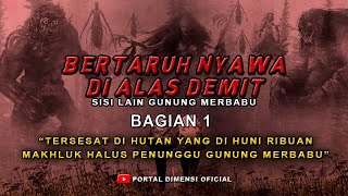Download lagu SEREM BANGET ❗ MEREKA TERSESAT DI HUTAN YANG ISINYA RIBUAN MAKHLUK HALUS || CERITA MISTIS PENDAKI mp3