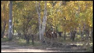 Уголовное дело по факту мошенничества