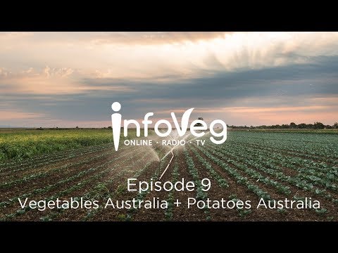download lagu mp3 mp4 Vegetables Australia Magazine, download lagu Vegetables Australia Magazine gratis, unduh video klip Vegetables Australia Magazine
