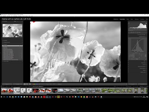 Lightroom Online Workshop Bildbeispiele