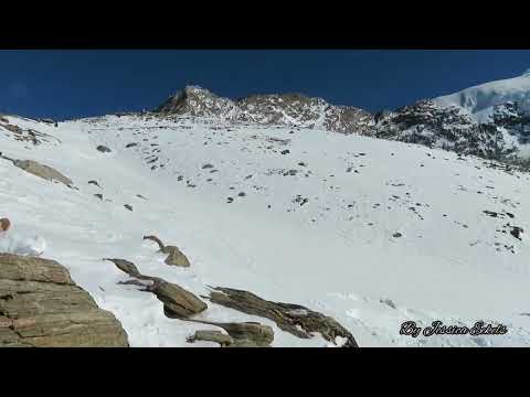 Saas Grund & Saas Fee