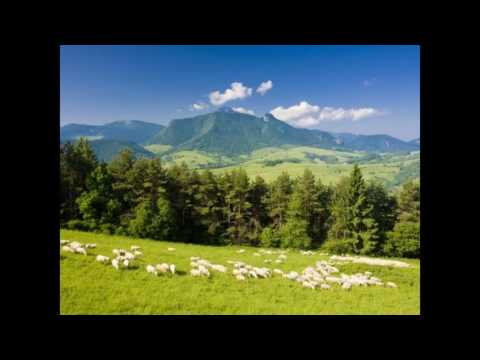 Pomaly ovečki z fujarou