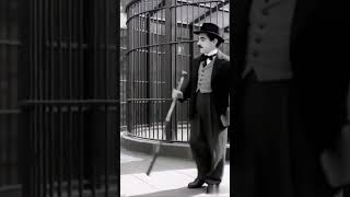 Download lagu Charlie Chaplin Berjoget - joget di Kandang Gorilla mp3 Download lagu Charlie Chaplin Berjoget - joget di Kandang Gorilla mp3