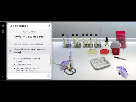 Pearson Interactive Labs | Biochemical Tests: Gram Positive
