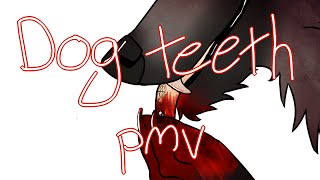 dog teeth pmv *READ DESCRIPTION!