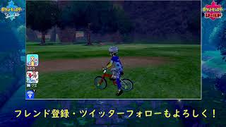 【ポケモン剣盾】マックスレイドバトル【Y-Comm】