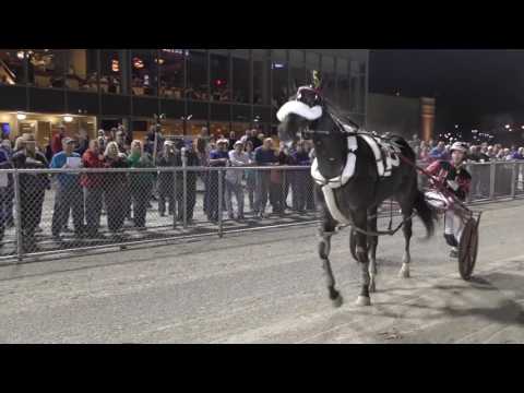 Wiggle It JiggleIt Breeders Crown feature 2016