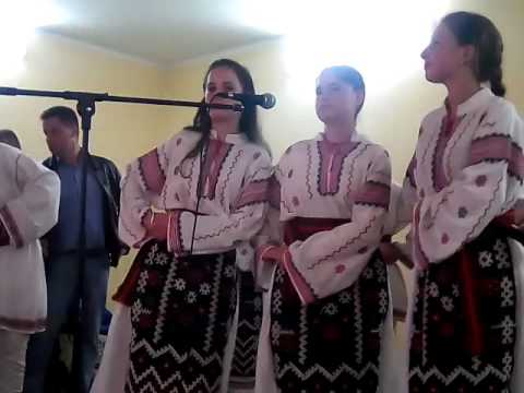 ,,Ziua satului cotoroaia ,,(6)