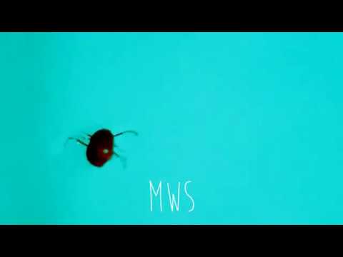 Easier Now - MWS (Music Video)