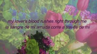 Deafheaven -  Canary Yellow Subtitulos Español | Lyrics | Video | Ingles / español