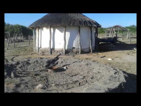 Ndingo Johwa - Pa Nkaka