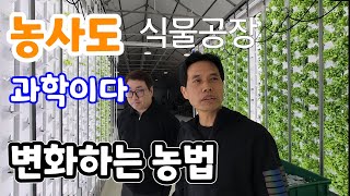 비닐하우스 식물공장! 기후 변화 사계절 냉난방 가능한 식물공장
