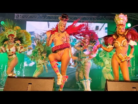Vai Quem Quer  - Samba Enredo 2023 @19° Festival De Samba Estarreja 2023 @PlaytekTv