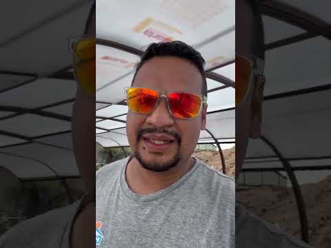 José