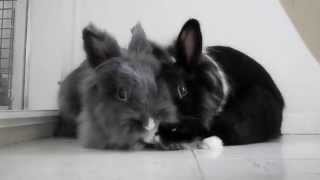 Two Girls, One Foot~♪