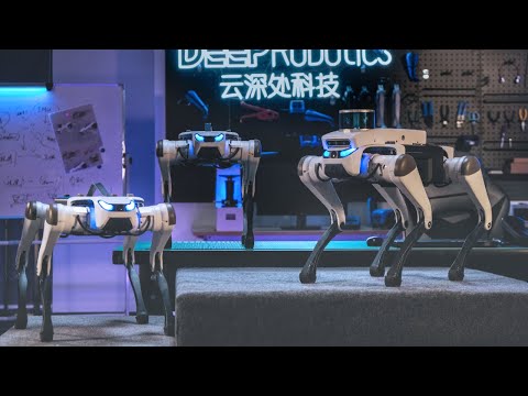 Vidéo YouTube - NNkxlKLMoMM