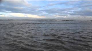 preview picture of video 'Winter whiting 2 - 2012'