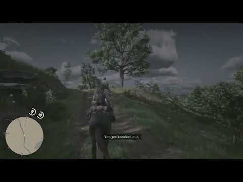 Compendium: Double-Action Revolver, Home Robbery with Sean | Red Dead Redemption 2 (PS5)