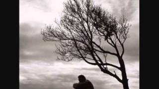 yo te seguire queriendo laberinto