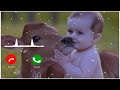 Hansne Wala Ringtone