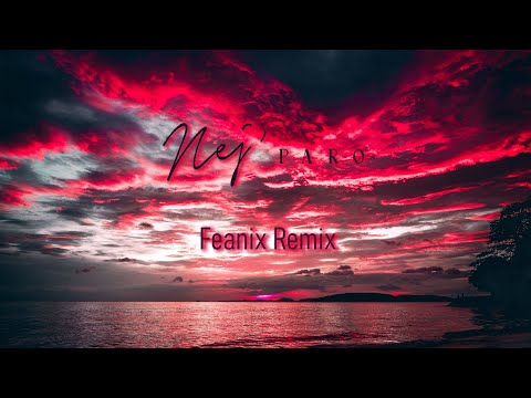 NEJ' - Paro (Feanix Remix)