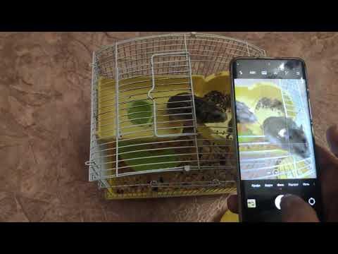 How to take continuous shooting on xiaomi 13