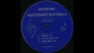 Nature Boy - On Your Side (Frame Of Mind)