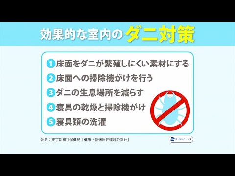 鶏のワクモの治療法は何ですか?イエダニを駆除するために取るべき手順  庭園