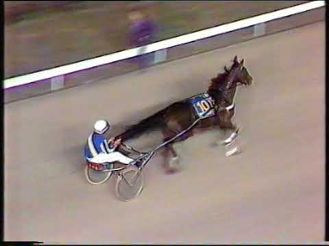 1986 Interdominion Pacing Final - Albion Park, Brisbane: Village