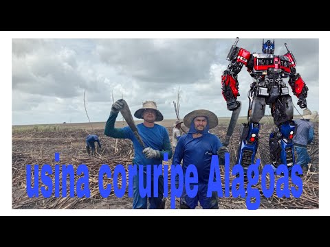 Usina coruripe Alagoas 