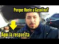 Sabes Porque Tu Auto Huele A Gasolina? AQUÍ La Respuesta!!!