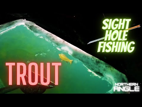 Observing Trout Behavior with Massive Sight Hole