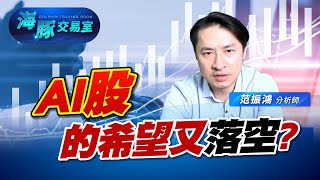 輝達財報怎麼了? AI股的希望又沒了嗎? (圖)