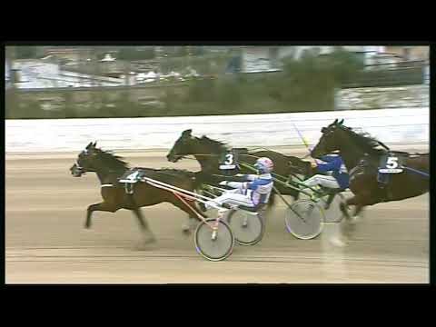 Trotto 02/02/2020 - 5ª corsa