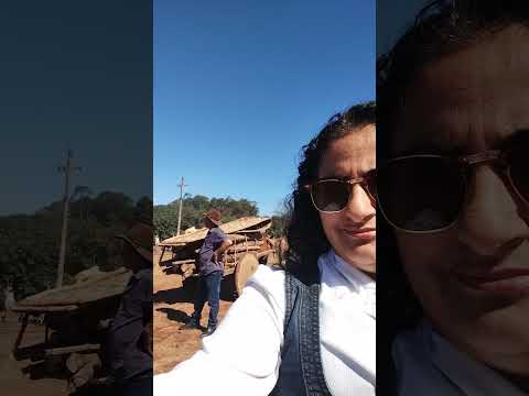 Carros de boi Fortaleza de Minas
